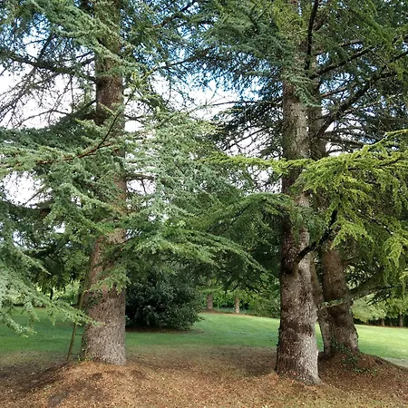 Bed & Breakfast La Lezardiere