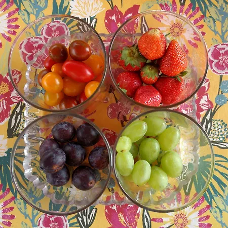 La Lezardiere Bed & Breakfast Gourdon-en-quercy